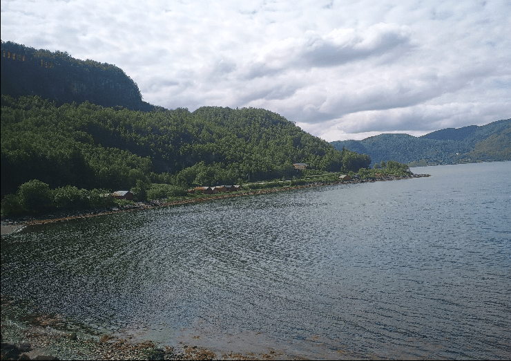photo de fjord prise dans le train entre Bodø et Trondheim